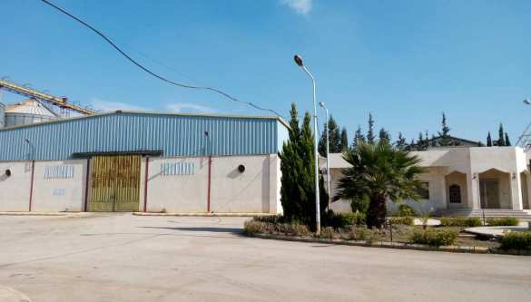 «Война заканчивается, сирийцы и русские стали одним народом», — Халдун Фадель (ФОТО) | Русская весна