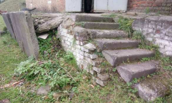 На Украине на территории военной базы выпасают скот (ФОТОФАКТ) | Русская весна