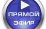 Биологическое и социальное — Сергей Савельев и Андрей Фурсов в прямом эфире стрим-трансляции «Русской Весны» (сегодня 16.00 мск) | Русская весна