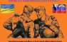 Допрос украинских военных, перешедших границу с водкой, салом и арбузами (ВИДЕО) | Русская весна