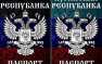 В ООН прокомментировали признание паспортов ДНР и ЛНР | Русская весна