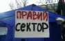 «Правый сектор» в Киеве провел свои собственные «учения» | Русская весна