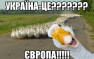 СНГ — это клуб неудачников, — вице-премьер Украины (ВИДЕО) | Русская весна