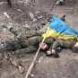 Украинские рабовладельцы обнаружены среди трупов бойцов ВСУ: в Красном Партизане продолжается сбор тел оккупантов (ВИДЕО, ФОТО 21+)