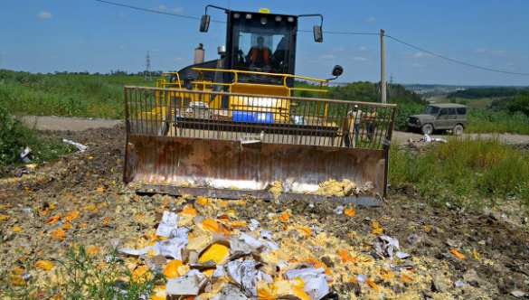 Россельхознадзор: Отдавать санкционные продукты малоимущим опасно | Русская весна