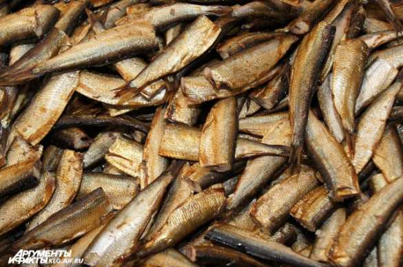 Латвия потеряет 200 млн евро из-за запрета России | Русская весна