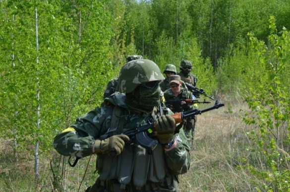 Утреннее сообщение от ополчения ДНР: противник ведет обстрелы населенных пунктов и позиций ополчения | Русская весна