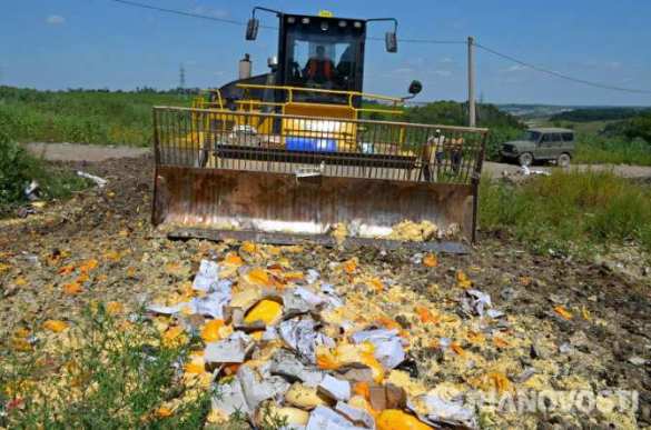 Объем уничтоженной санкционной продукции приближается к 500 тоннам | Русская весна