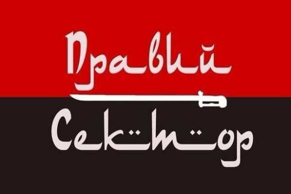 Украинская военная пропаганда на службе сирийских террористов: зарисовки из твиттера | Русская весна