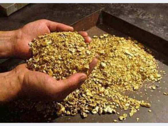 На Дальнем Востоке научились получать золото из золы. Два грамма на тонну | Русская весна