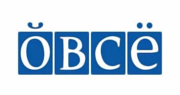 «Проходимцы! Они за Украину!» — жители Донецка о наблюдателях ОБСЕ (ВИДЕО) | Русская весна