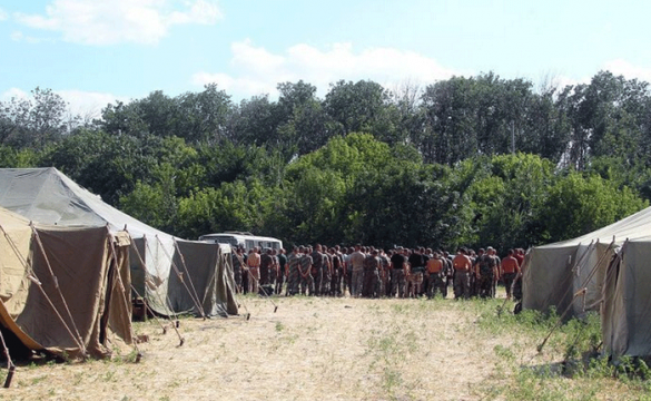 150 украинских военных, перешедших на российскую территорию, попросились в ополчение ДНР | Русская весна