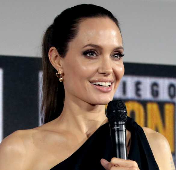 Цель достигнута: зачем Анджелина Джоли приезжала во Львов (ВИДЕО) | Русская весна