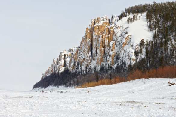 Россия меняется: как противостоять катастрофе? | Русская весна