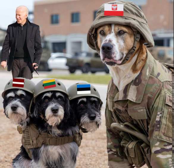 Польша и страны Балтии — поле боя для НАТО | Русская весна