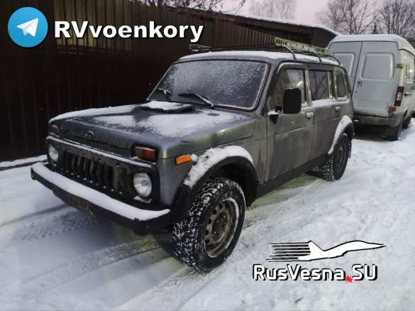 Боевая «Нива» от читателей «Русской Весны» прибыла на фронт: её охраняет кошачий спецназ (ВИДЕО) | Русская весна