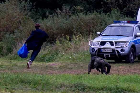 Погоня: польского депутата загнали на границе с Белоруссией (ФОТО, ВИДЕО) | Русская весна