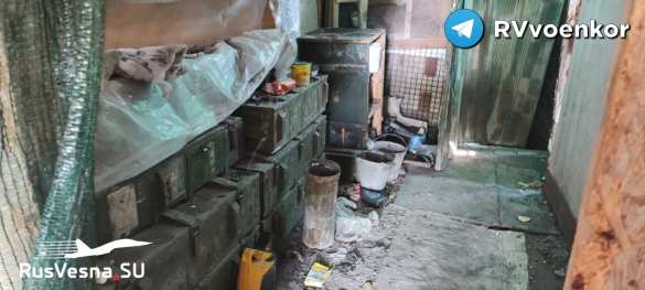 «Отважные» освободили осквернённый неонацистами детский лагерь (ФОТО 18+) | Русская весна