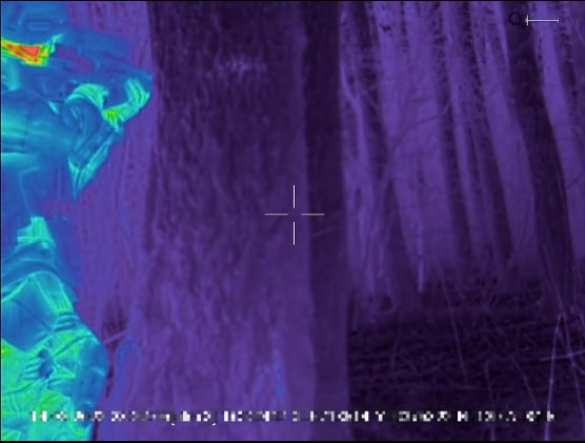 Ночная охота: Русский спецназ следит за врагом в лесу через тепловизоры (ВИДЕО) | Русская весна