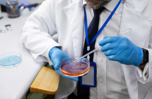 В России добились прогресса в изучении гепатита В | Русская весна