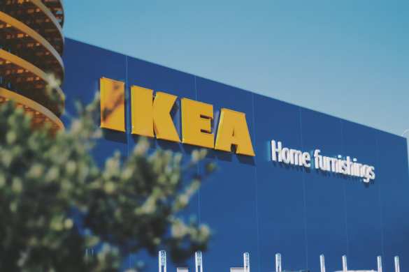 Скандал с карпатским буком для IKEA — появилась реакция мебельного гиганта | Русская весна