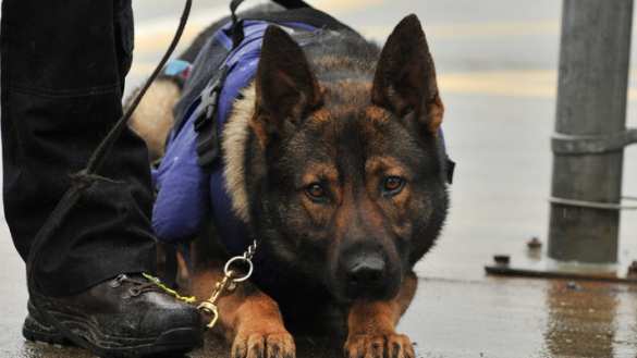 На вокзале в Харькове нашли гранаты, — МВД | Русская весна