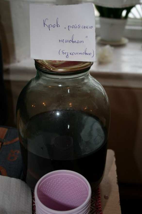 Здоровые силы Николаева возмущены  "Кровью русских младенцев" и "Танками на Москву" | Русская весна