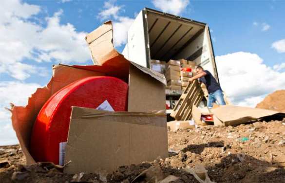 В России с 6 августа уничтожено 1,8 тыс. тонн санкционной продукции | Русская весна