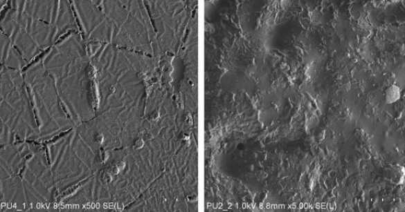 Имплантат нового образца (слева) и имплантат старого образца Через 10 лет все срастется, обещают ученые из Пермского университета | Русская весна