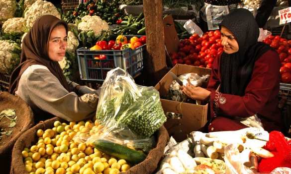 Турецкие фермеры больше всех опасаются последствий российских санкций | Русская весна