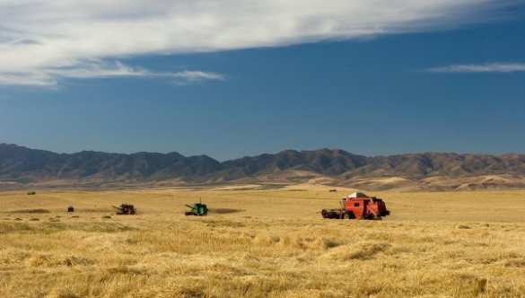 Минсельхоз Польши: Сельское хозяйство ЕС в структурном кризисе | Русская весна