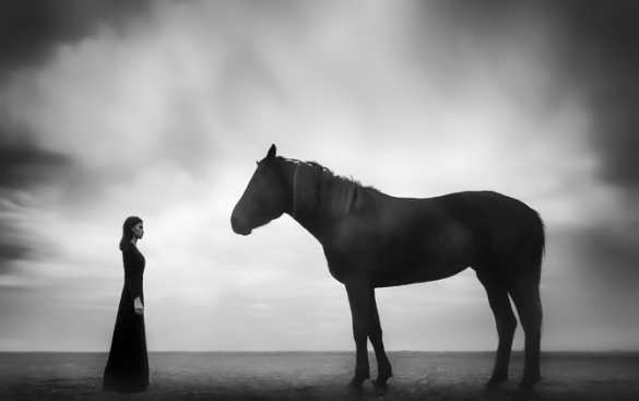 Художественная фотография - 10 лет творчества фотохудожника Михаила Потапова | Русская весна