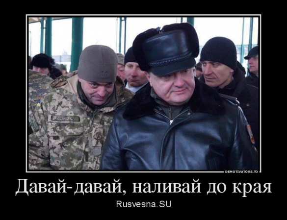 Порошенко и Маккейн прибыли в бункер в районе Мариуполя (ФОТО, ВИДЕО) | Русская весна