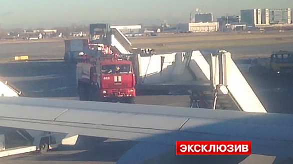 СРОЧНО: Из самолета «Когалымавиа» в Пулково эвакуируют пассажиров (ФОТО) | Русская весна