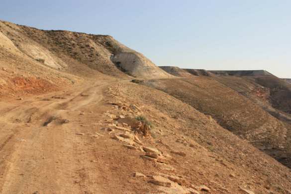 После Сирии Россия может войти в Афганистан, — Daily Mail | Русская весна