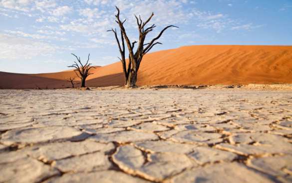 Через 10 лет в Африке и на Ближнем Востоке не останется людей, — ученые | Русская весна