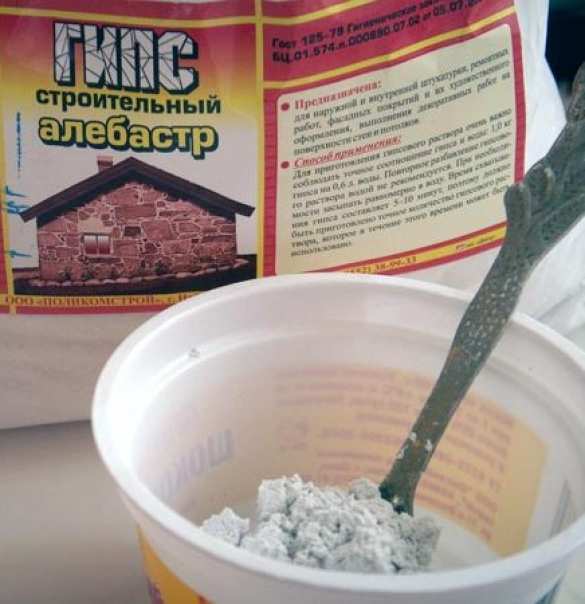 В Киеве бабушка накормила внуков омлетом с алебастром | Русская весна