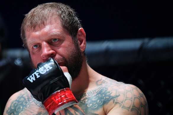 «Готовь перчатки!» — Емельяненко принял вызов Кадырова (ВИДЕО) | Русская весна