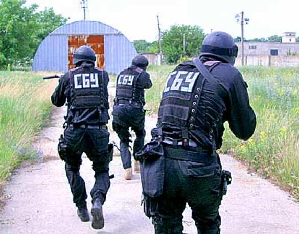 Руководство «Альфы» отстранили от должностей за невыполнение приказов, проводится расследование | Русская весна