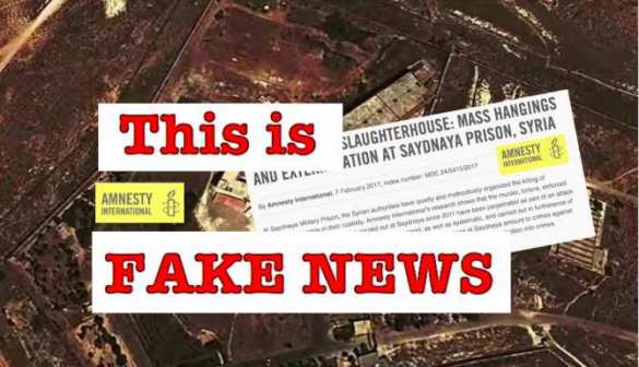 Amnesty International Fabrications on Syria Intended to Discredit Russia and Justify Trump Military Intervention in Syria “War on Terrorism” | Русская весна
