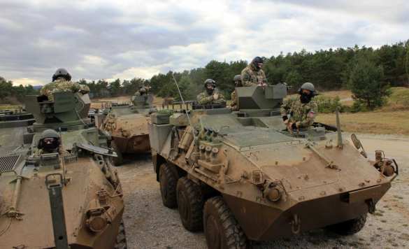 Неспокойная Европа: Словения направляет военных с бронетехникой на границу с Италией (+ФОТО) | Русская весна