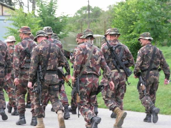 Венгрия из-за беженцев направит 3–4 тыс. солдат на границу с Сербией | Русская весна