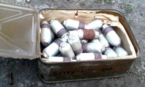 Француз пытался вывезти из Украины арсенал оружия (ФОТО, ВИДЕО) | Русская весна