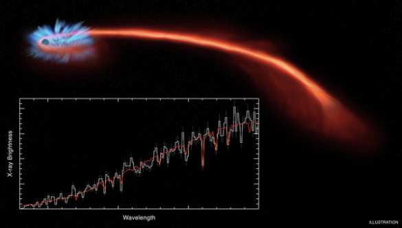 Астрономы обнаружили уничтожающую планеты «звезду смерти» (ВИДЕО) | Русская весна