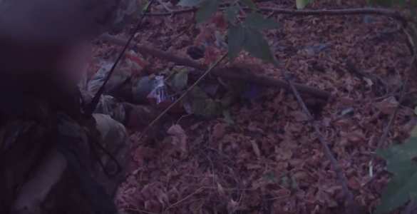 Звездное небо в тылу противника: разведчики Армии ДНР совершили вылазку на позиции ВСУ (ВИДЕО 18+) | Русская весна