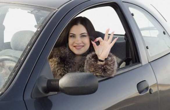 Их нравы: в Нидерландах узаконили «оплату натурой» за уроки вождения | Русская весна