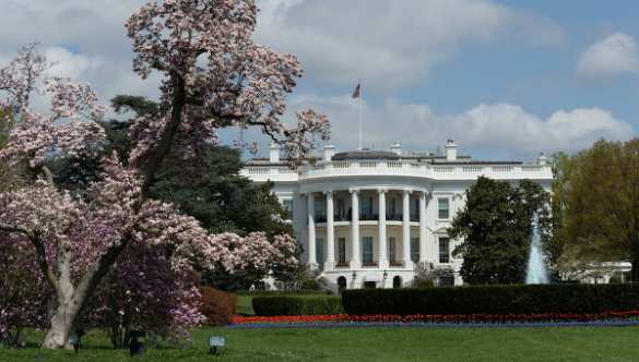 США заявили, что длительной военной операции в Ираке и Сирии не будет | Русская весна