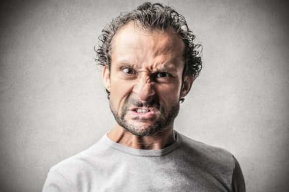 ВСУ страдают от бешенства | Русская весна