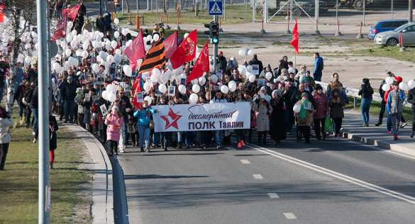 Tallinn «Immortal regiment» organizer fired for «criticizing NATO» and helping Donbass | Русская весна
