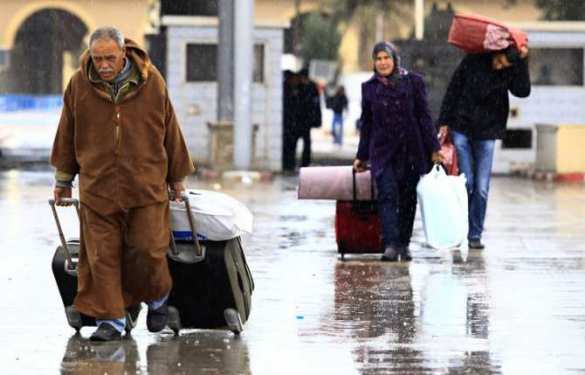Жители Дублина вышли на массовый протест против украинских беженцев (ФОТО, ВИДЕО) | Русская весна